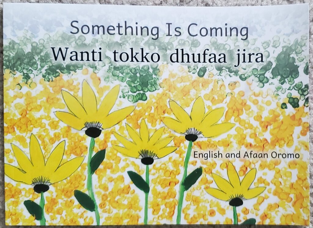 Open Hearts Big Dreams Afaan Oromoo Books